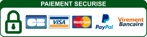 Logo paiement securise 1