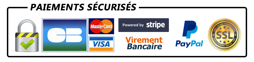 Logo paiement securise 1